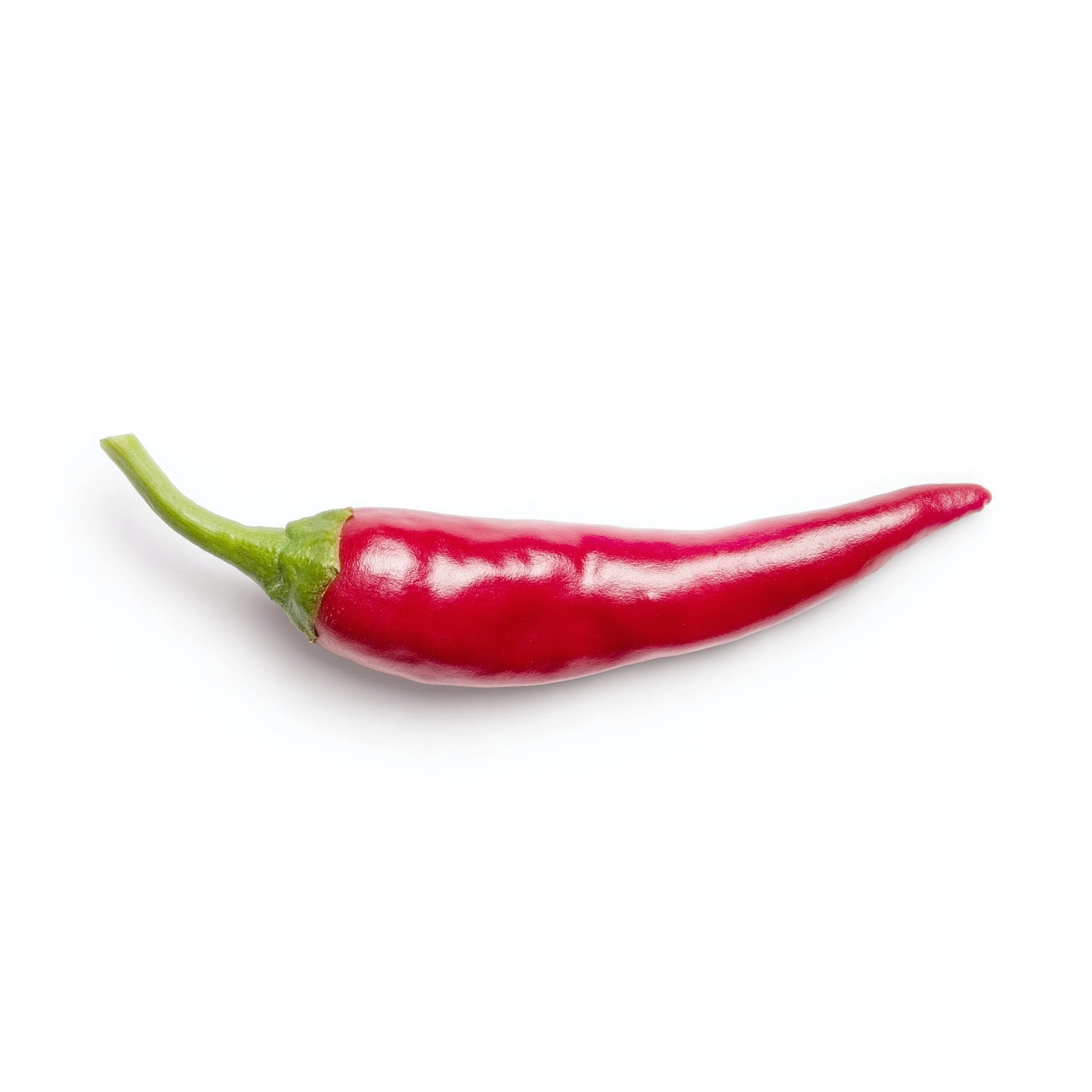 red chili on white background